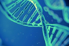 20170222-dna-fb