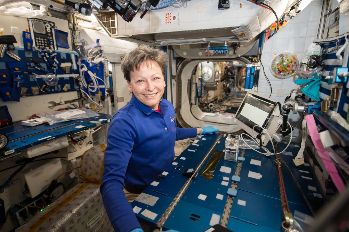 NASA astronaut Peggy Whitson worked within the Microgravity Science Glovebox on the space station to transfer cells from bacterial colonies grown on petri dishes into miniature test tubes. It was the first time the process had been performed in space. Credit: NASA
