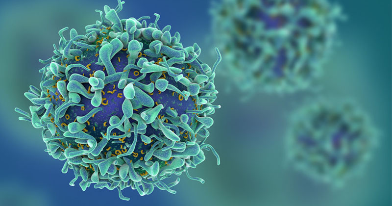 《Science Immunology》生酮飲食新的角色!? 增強免疫系統對抗A流。(圖片來源:網路)