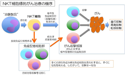 圖片取自日本慶應大學