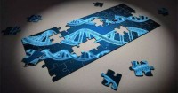 cell gene