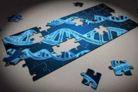 cell gene