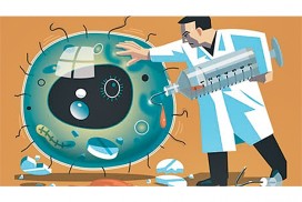 (圖片來源:網路)
