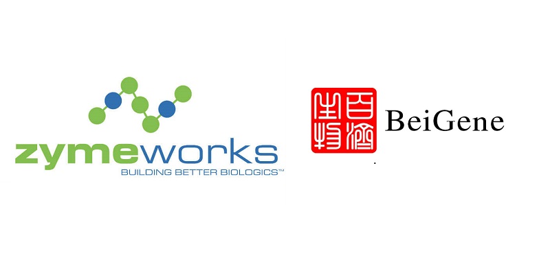 Zymeworks拓展全球版圖最繁忙一年,亞太區再與百濟神州展開戰略合作。(圖片來源:網路)