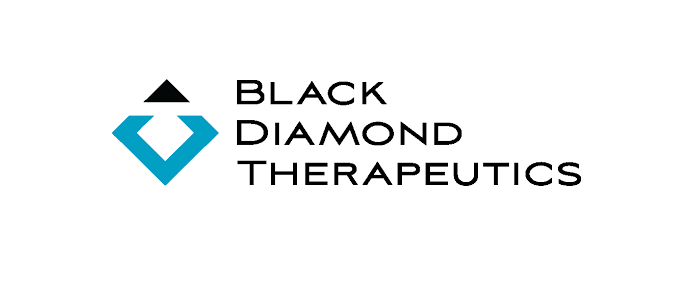 抗癌新銳公司Black Diamond強勢來襲 短短一個月完成兩輪募資。(圖片來源:網路)