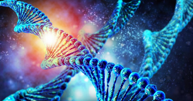 《PNAS》人體B細胞之突變數量將隨年齡增加。(圖片來源:網路)