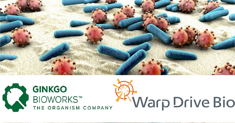 Ginkgo收購Warp Drive Bio基因探勘平台 與羅氏攜手尋找新一代抗生素(圖片來源:網路)