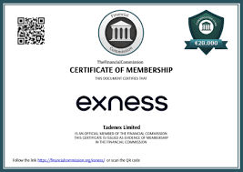 Mastering Your Trading Skills with Exness Demo Account Mastering Your Trading Skills with Exness Demo Account
