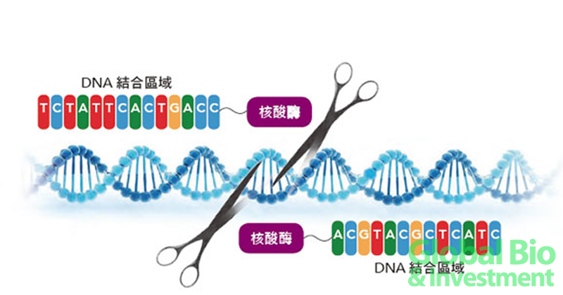20161121_crispr_FB