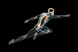 20170616_does-hogh-impact-excercise-strengthen-bones-fb
