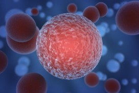 cancer-cell