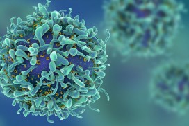 《Science Immunology》生酮飲食新的角色!? 增強免疫系統對抗A流。(圖片來源:網路)