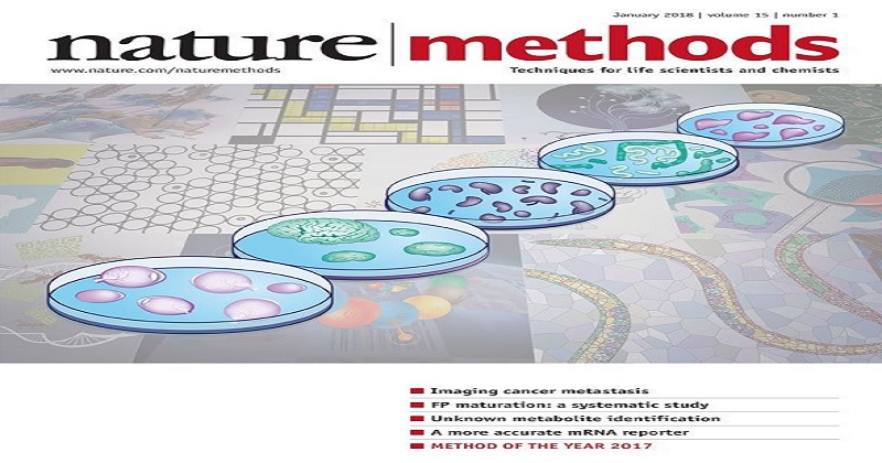 圖片取自《Nature method》January 2018, Volume 15封面