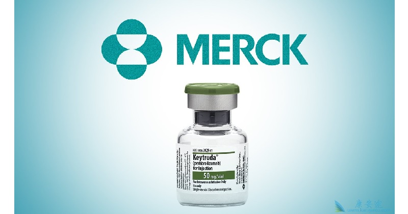 昨(美國時間1)日,默克(Merck)在2019 ASCO上發表肺癌藥Keytruda的重大成果。(圖片來源,網路)