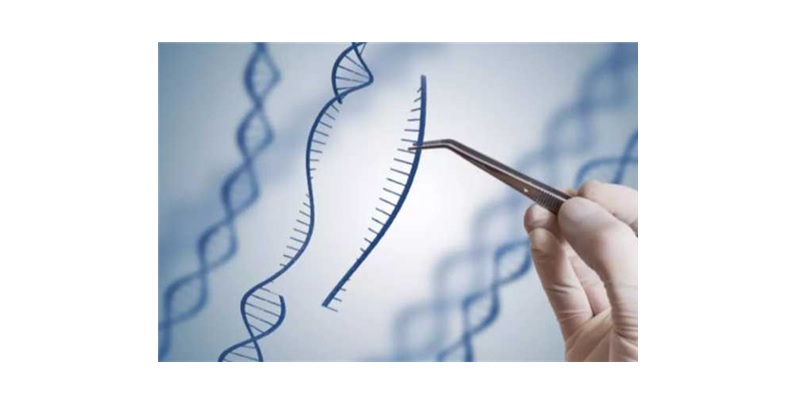 Mustang Bio與St. Jude兒童醫院攜手 共同開發「泡泡男孩」基因療法(圖片來源:網路)