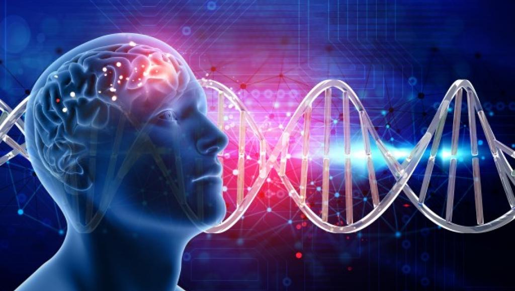 發現阿茲海默症新風險基因 解密Aβ影響大於TAU蛋白!?(圖片來源:網路)