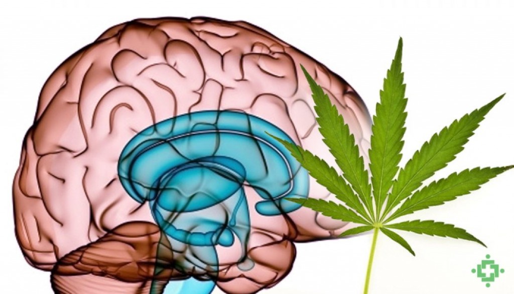 FDA首次批准用於治療Dravet症候群患者的藥物