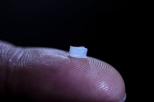 突破性3D列印神經支架 幫助恢復脊髓損傷。(圖片來源:3der.org)