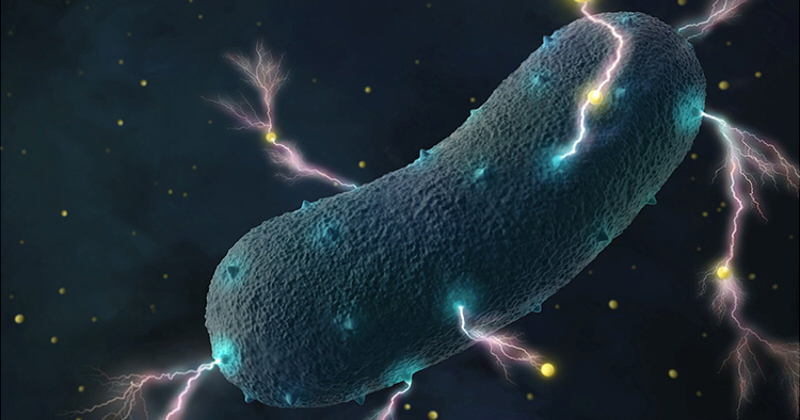 《Science》UCSD團隊發明「剪刀石頭布」基因迴路技術 解決延長抗癌藥物釋放時效。(圖片來源: Amy Cao graphic, copyright UC Berkeley)