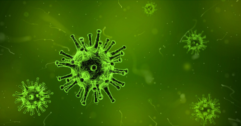 《Science》新冠疫苗開發工具——棘蛋白結構出爐 (圖片來源:網路)