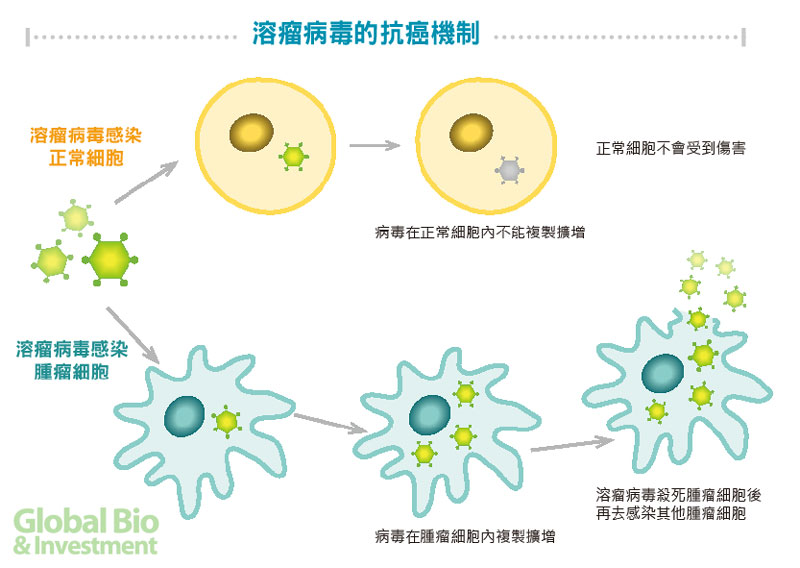 百年發展溶瘤病毒初現曙光 環球生技月刊