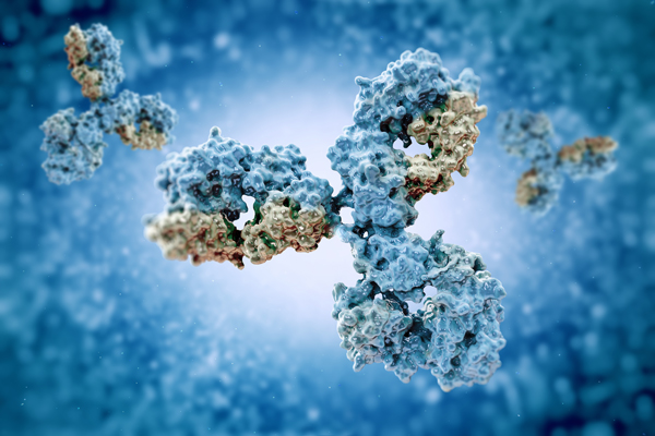 《Science Immunology》B細胞免疫療法登場?基因編輯B細胞可抵抗致命病毒 (圖片來源: 網路)
