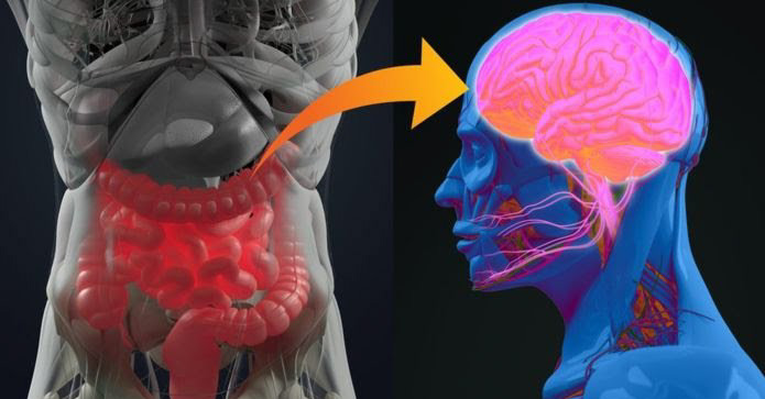 《Nature》巴金森氏症源於腸道感染 誘發自體免疫反應造成!?(圖片來源:網路)