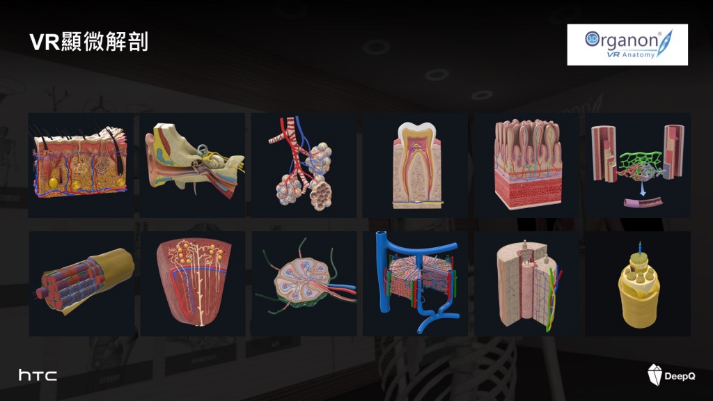 3D Organon混合實境解剖教學應用能，可讓學生學習，不易了解的顯微解剖學，小至小腸的絨毛、乳糜管、肌纖維、腎絲球體等都清晰可見，突破過去平面教材的學習瓶頸。(圖片來源:國防醫學院)