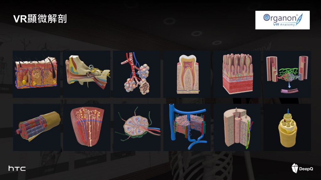 3D Organon混合實境解剖教學應用能,可讓學生學習,不易了解的顯微解剖學,小至小腸的絨毛、乳糜管、肌纖維、腎絲球體等都清晰可見,突破過去平面教材的學習瓶頸。(圖片來源:國防醫學院)