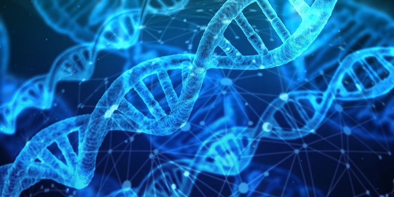 腺嘌呤鹼基編輯器ABE可直接修復囊狀纖維化突變基因。(圖片取自網絡)