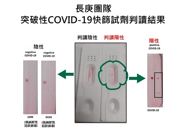 長庚團隊COVID-19 快篩試劑判讀結果