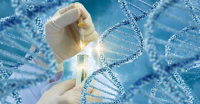 美國洛克菲勒大學研究證實遺傳基因與癌症擴散有關(圖片來源:網路)