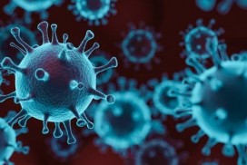 男性較易感染新冠揭密?荷蘭研究發現男性體內ACE2濃度較高(圖片來源:網路)
