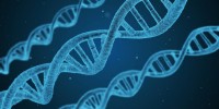 美國麻省大學發現東亞人種第二型糖尿病新基因標記(圖片來源:網路)