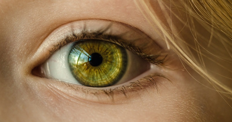 以色列CorNeat Vision創新人工眼角膜 獲批進行臨床試驗 (圖片來源:網路)