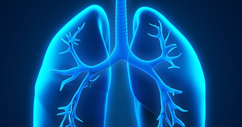 臺灣首項非吸煙肺腺癌蛋白質體學研究、中國肺腺癌蛋白質體學全圖 ,有助精準診斷。(圖片取自網絡)