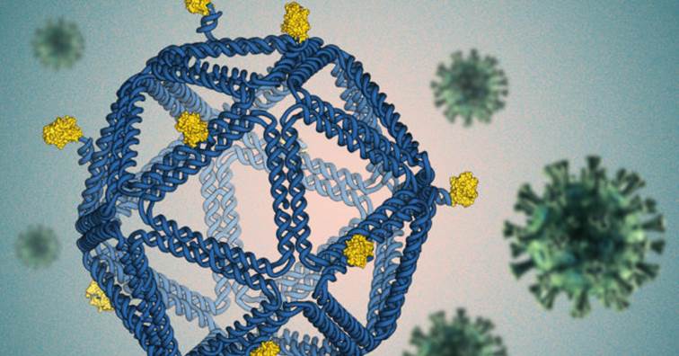 MIT開發奈米摺疊DNA疫苗平台 盼加速HIV、新冠病毒疫苗問世 (圖片來源:麻省理工學院Twitter)