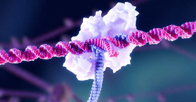 突破基因編輯侷限!旗艦創投推出 創新「Gene Writing」新銳公司Tessera Therapeutics(圖片來源:Tessera Therapeutics官網)