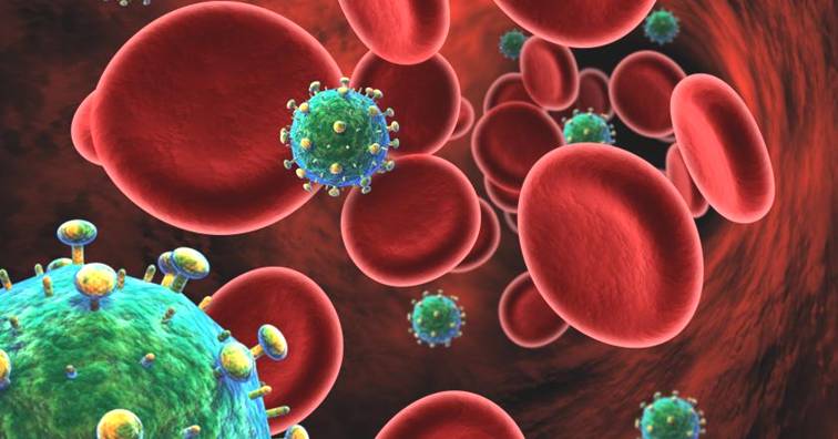 《Cell》子刊:SLeX可識別靶向經ART治療HIV病毒新方法(圖片來源:網路)
