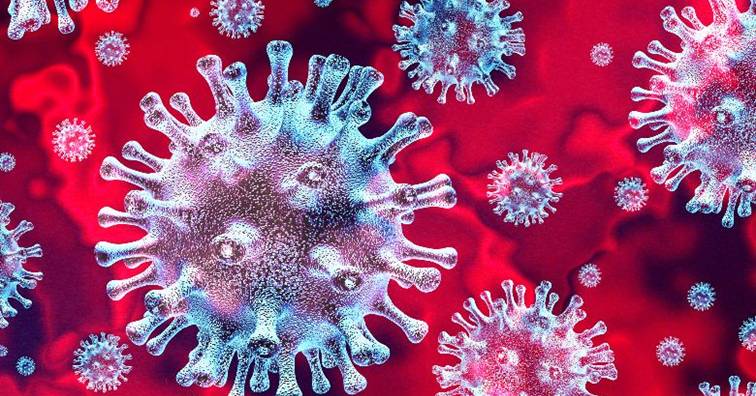Science 發現sars Mers Cov 新冠病毒常見弱點 環球生技月刊 Science 發現sars Mers Cov 新冠病毒常見弱點 環球生技月刊