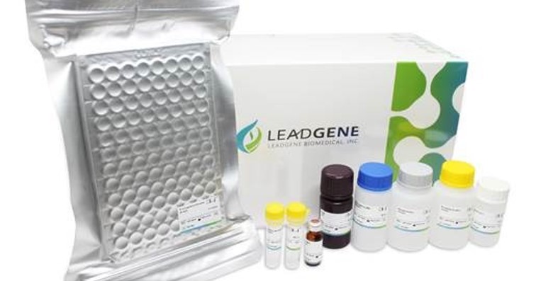 偉喬生醫(7548)表示,其腎毒素檢測試劑組(IS ELISA Kit),在8月獲得歐盟體外診斷醫療器材(CE-IVD)認證。(圖片/偉喬生醫提供)